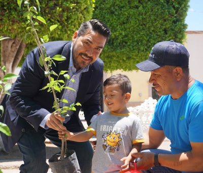 Reforestemos Cuerámaro, dona 300 árboles