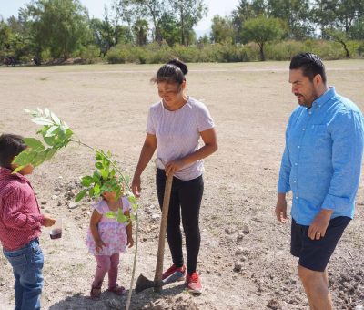 Plantamos alrededor de mil especies de diferentes tipos de árboles