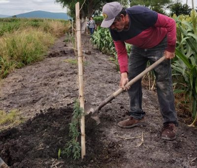 Ecología Municipal realiza actividades de arborización