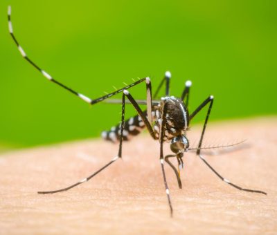 SSG fortalece las acciones contra el dengue en 5 municipios