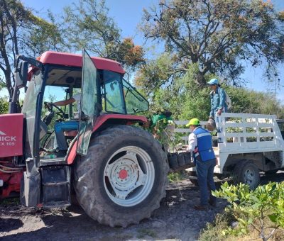 Hacen labores de arborización en Presa de Uribe