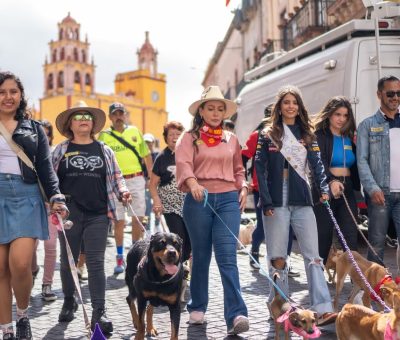 Caminan más de 160 personas y perros por el centro histórico de Guanajuato