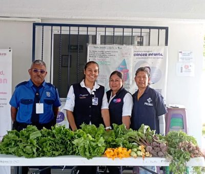 SSG fomenta la alimentación sustentable con la instalación de huertos