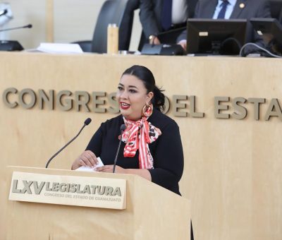 Conmemora Dip. Katya Soto el Día Internacional de la Eliminación de la Violencia contra la Mujer