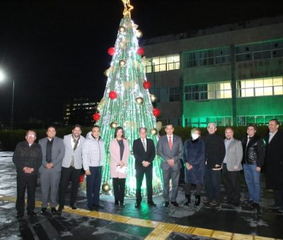 Enciende IMSS Guanajuato Árbol de Navidad 2023