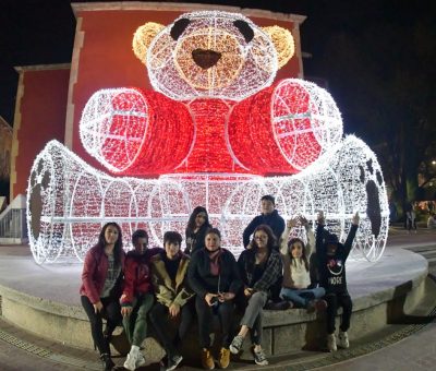 Invitan al encendido del árbol monumental