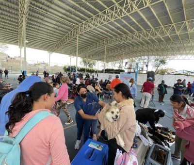 SSG logra la esterilización de 8 mil 500 perros y gatos en Uriangato, Moroleón, Valle de Santiago y Yuriria