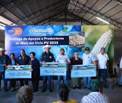 Cumple el Estado con apoyo a productores de maíz