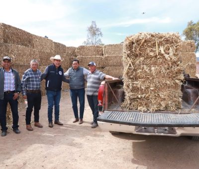 Entrega SDAyR pacas y alimento para ganado en San Felipe