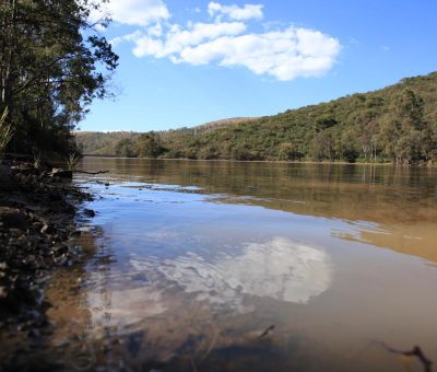 Acumula Guanajuato 10 por ciento más de lluvia en 2023 en comparación con el año anterior.