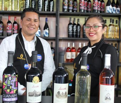 Impulsa Gobierno del Estado la Enología y la Vitivinicultura para el desarrollo económico y la diversificación de Guanajuato