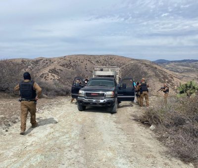 Detienen Sheriffs a tres presuntos involucrados en robo de ganado