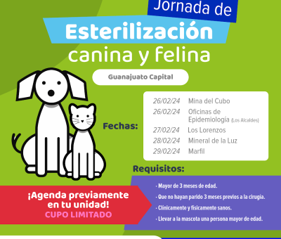 SSG anuncia Jornada masiva de 500 esterilizaciones de perros y gatos en la capital y municipios de la región.