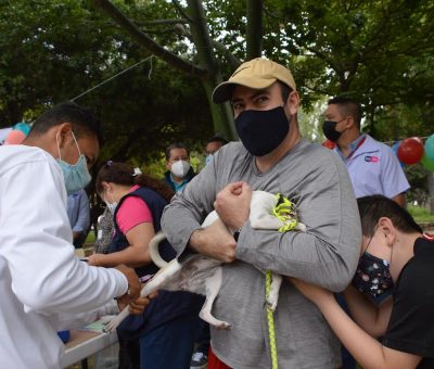 SSG informa en Guanajuato la “Jornada de vacunación antirrábica canina y felina 2024