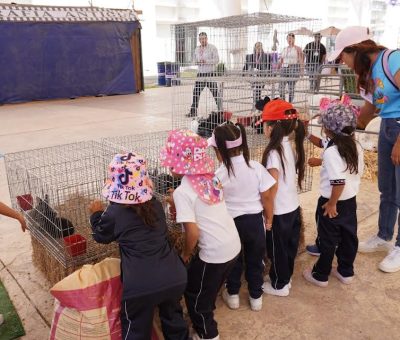 Disfrutan estudiantes de la Feria de las Fresas