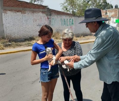 Comienza Semana de Vacunación Antirrábica en Abasolo