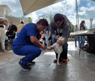 SSG aplicará dosis antirrábica en los pueblos del Rincón