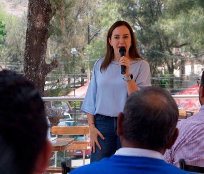 Hagamos una campaña en Guanajuato para fomentar el uso de cadenas de taxis seguros: Cecilia Pöhls