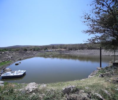 Impulsa SDAyR 271 obras de bordería para captar agua de lluvia