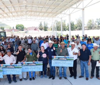 Apoya SDAyR a 143 productores de maíz acambarenses