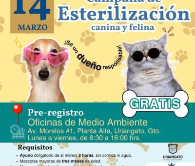SSG abre pre registro para esterilizaciones de perros y gatos en Uriangato