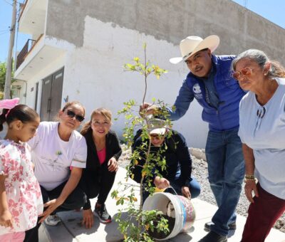Pavimentaciones con sentido natural