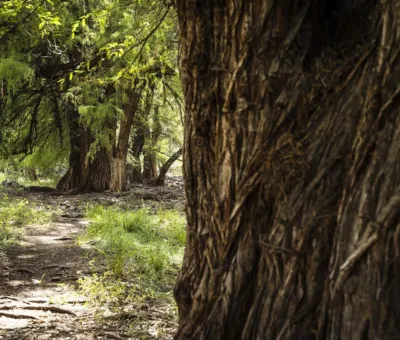 Trabajan en la conservación y protección de las Áreas Naturales Protegidas