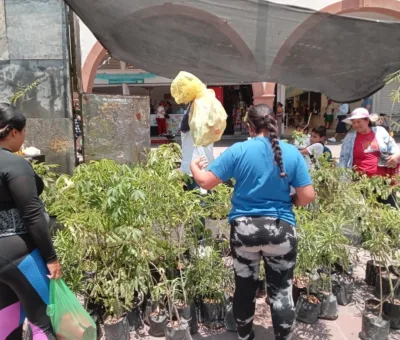Purísima más oxigenado