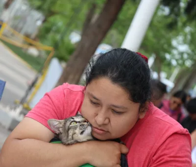 Purísima ofrece cuidado a la salud a través de la esterilización de mascotas
