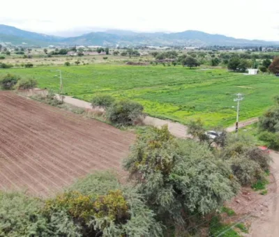 A finales de agosto comenzará la pavimentación del bulevar Cañaveral, en León