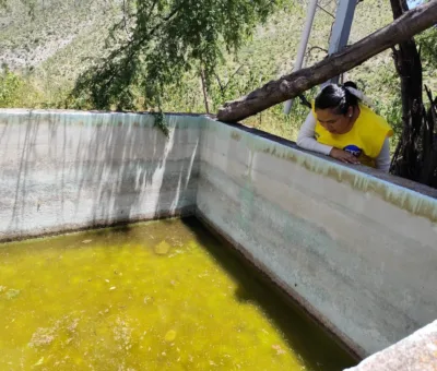 SSG moviliza a personal de la estrategia contra el dengue en el noreste del estado
