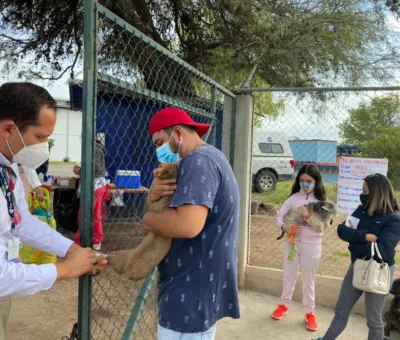 Guanajuato se prepara para la Semana de Vacunación Antirrábica 2025 para perros y gatos.