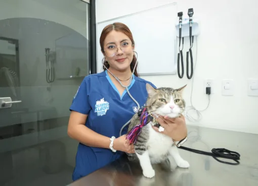 SUPERA EXPECTATIVAS HOSPITAL DE MASCOTAS LEÓN 450, SUMA MÁS DE 3 MIL ATENCIONES
