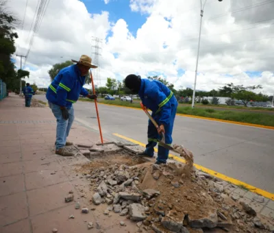 CON EL PROGRAMA ‘ROMPE BANQUETA, PLANTA UN ÁRBOL’, EL LEGADO VERDE DE LEÓN CRECE