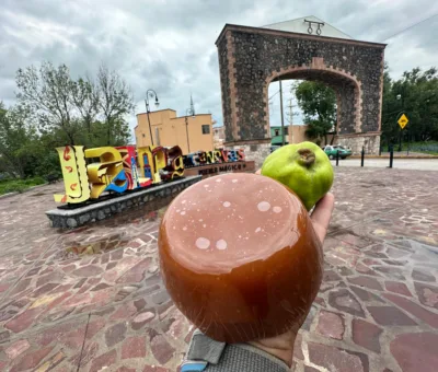INICIA LA TEMPORADA DEL MEMBRILLO EN JALPA DE CÁNOVAS, PUEBLO MÁGICO