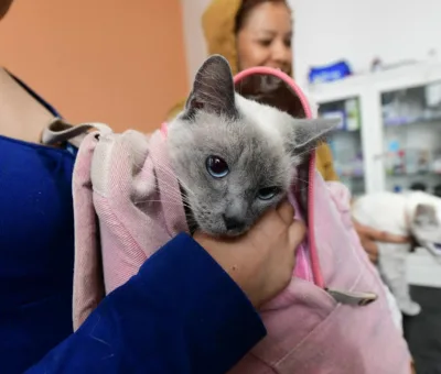 IRAPUATO PROMUEVE ACCIONES EN FAVOR DEL BIENESTAR ANIMAL