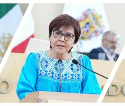 Por una gestión justa y ciudadana: Guanajuato garantiza recursos para la sociedad civil