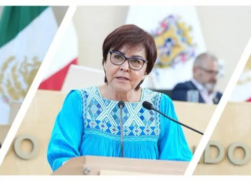 Por una gestión justa y ciudadana: Guanajuato garantiza recursos para la sociedad civil