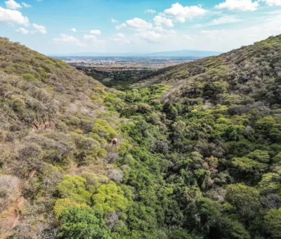 Invitan a la gente a conmemorar aniversario del Área Natural Protegida Las Fuentes en municipios de Juventino Rosas y Salamanca