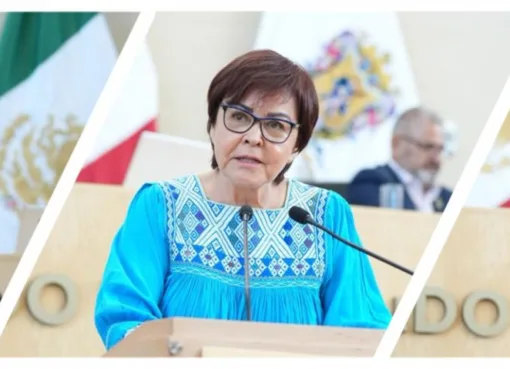 Por una gestión justa y ciudadana: Guanajuato garantiza recursos para la sociedad civil