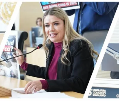 PAN exige a la Federación respuestas ante crisis nacional