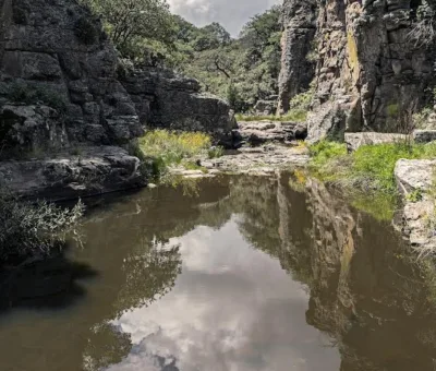 Fomentan la conservación de las Áreas Naturales Protegidas