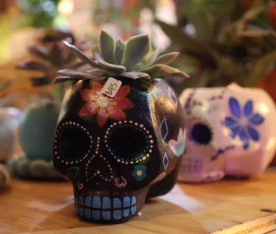 Purísima mantiene abiertos los 4 Campos Santos del Municipio