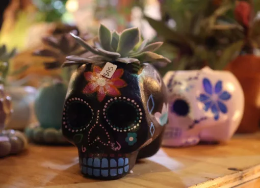 Purísima mantiene abiertos los 4 Campos Santos del Municipio