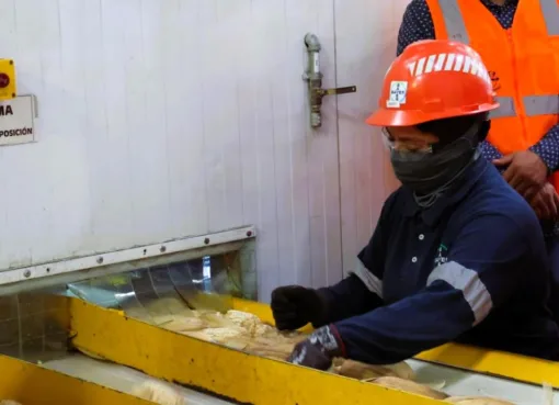 Gobierno de la Gente impulsa reconversión productiva con inversión y acompañamiento institucional