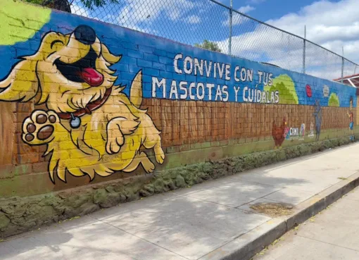 CRECE NÚMERO DE COLONIAS Y COMUNIDADES EN IRAPUATO RESPONSABLES DEL CUIDADO DE SUS MASCOTAS