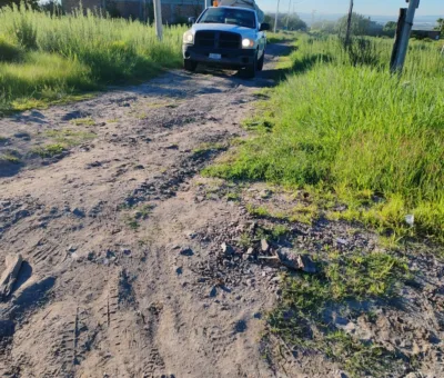 SSG mantiene en el municipio de León una campaña activa contra el dengue