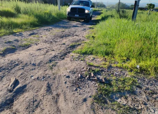 SSG mantiene en el municipio de León una campaña activa contra el dengue