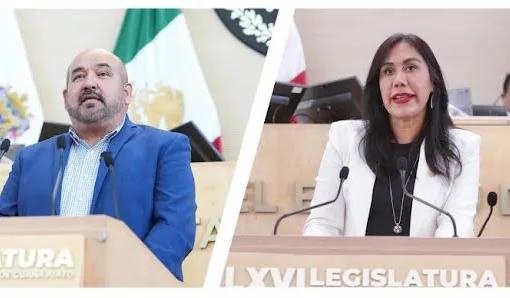 Aprueban reformas en materia de movilidad, adopción y protección animal en Guanajuato