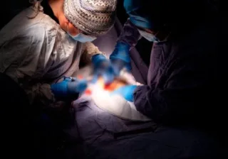 SSG referente nacional en pruebas de tamizaje para embarazadas